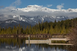 banff national park pet friendly banff alberta canada dog parks