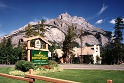 pet friendly hotel in banff