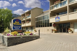 pet friendly hotel in banff