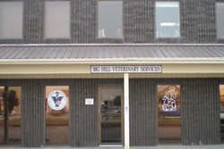 big hill veterinary services pet friendly banff alberta canada vets