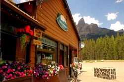 pet friendly chalet in banff