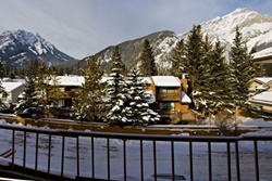 pet friendly hotel in banff