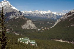 pet friendly hotel in banff