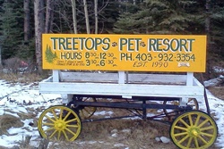 treetops pet resort pet friendly banff dog friendly alberta canada dog boarding and grooming