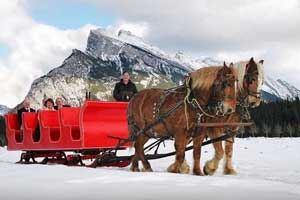 banff horse drawn sleigh ride