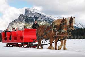banff horse drawn sleigh ride
